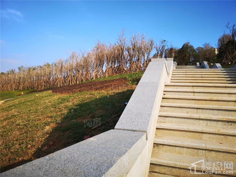 南宁阳光城丽景湾配套图