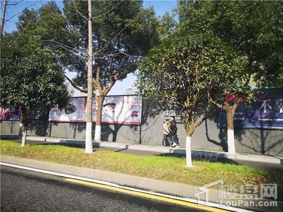 珠江好世界实景图