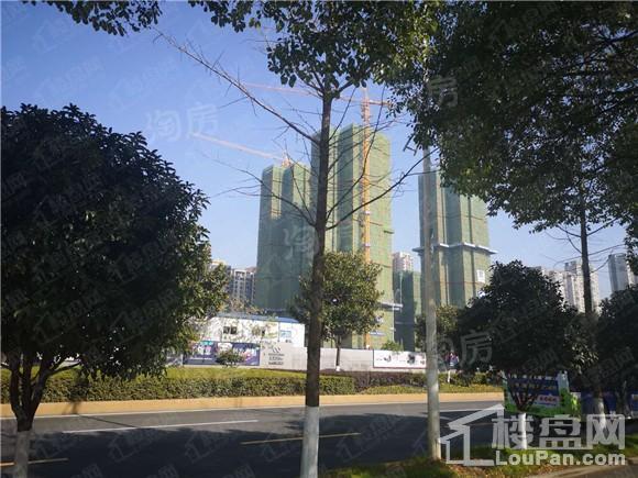 珠江好世界实景图