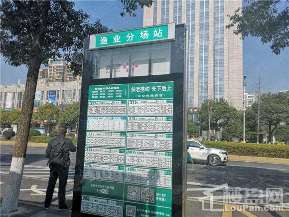 珠江好世界实景图