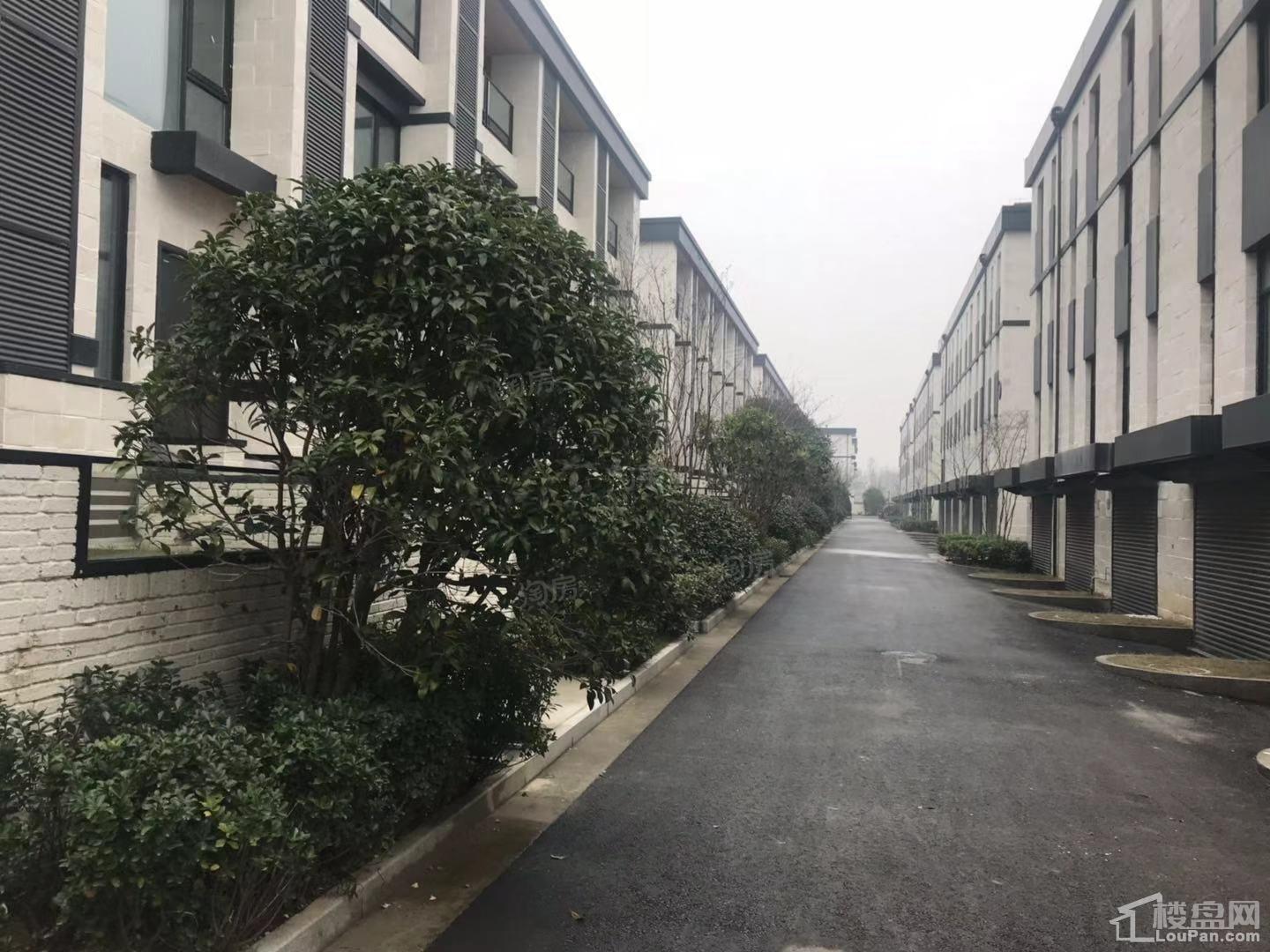 暖山金域城实景图