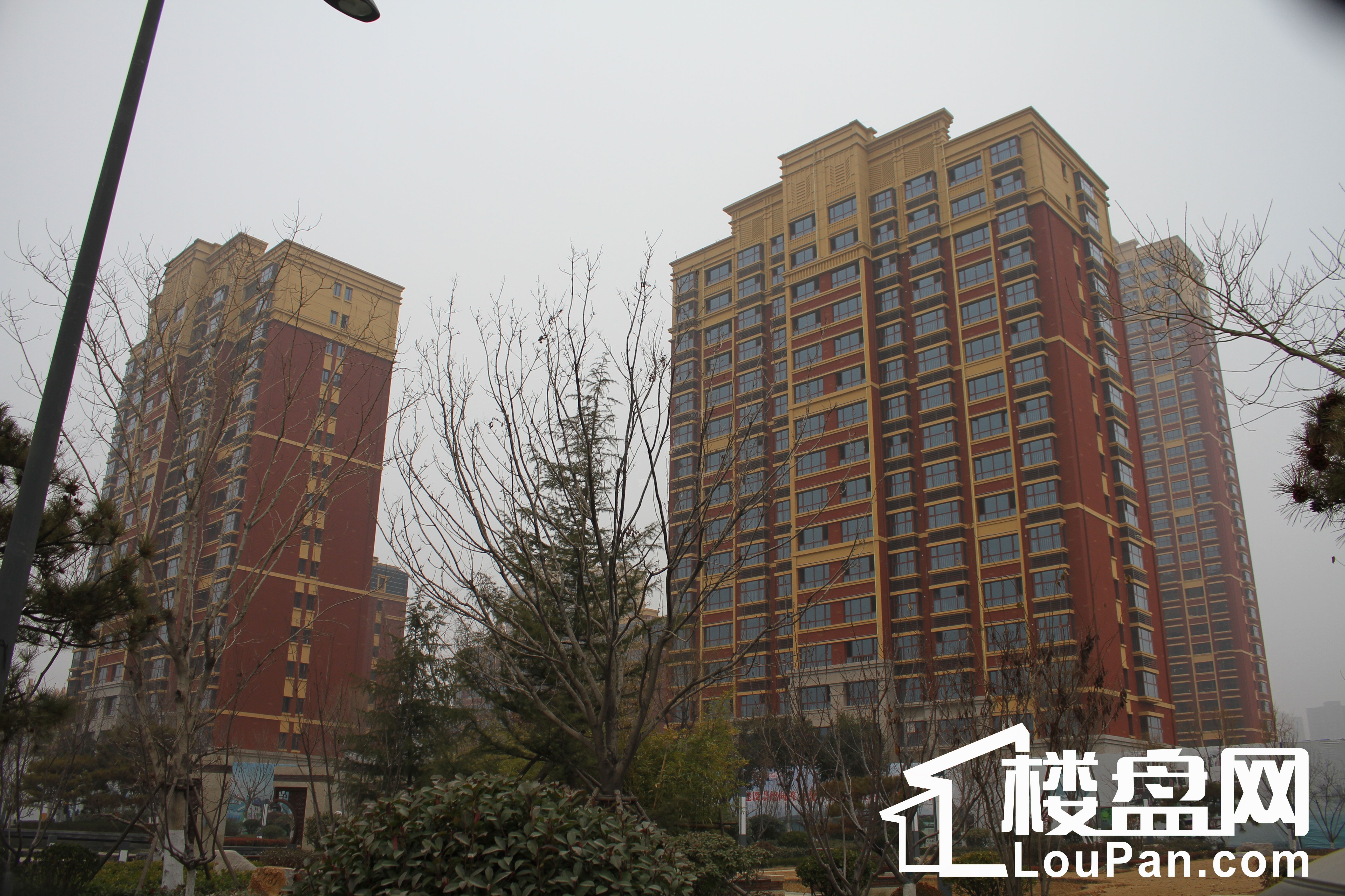 开元盛世硕园实景图