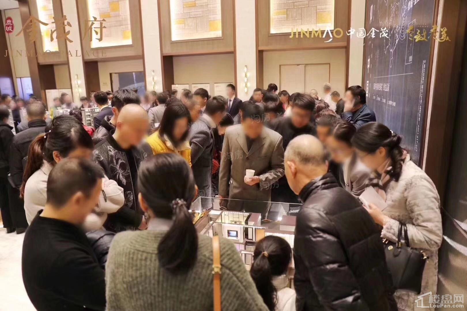 鹿城金茂府实景图