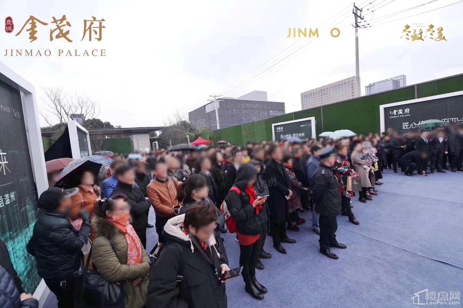 鹿城金茂府实景图