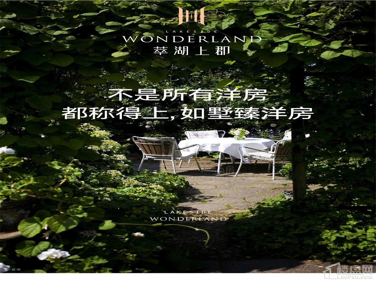 效果图