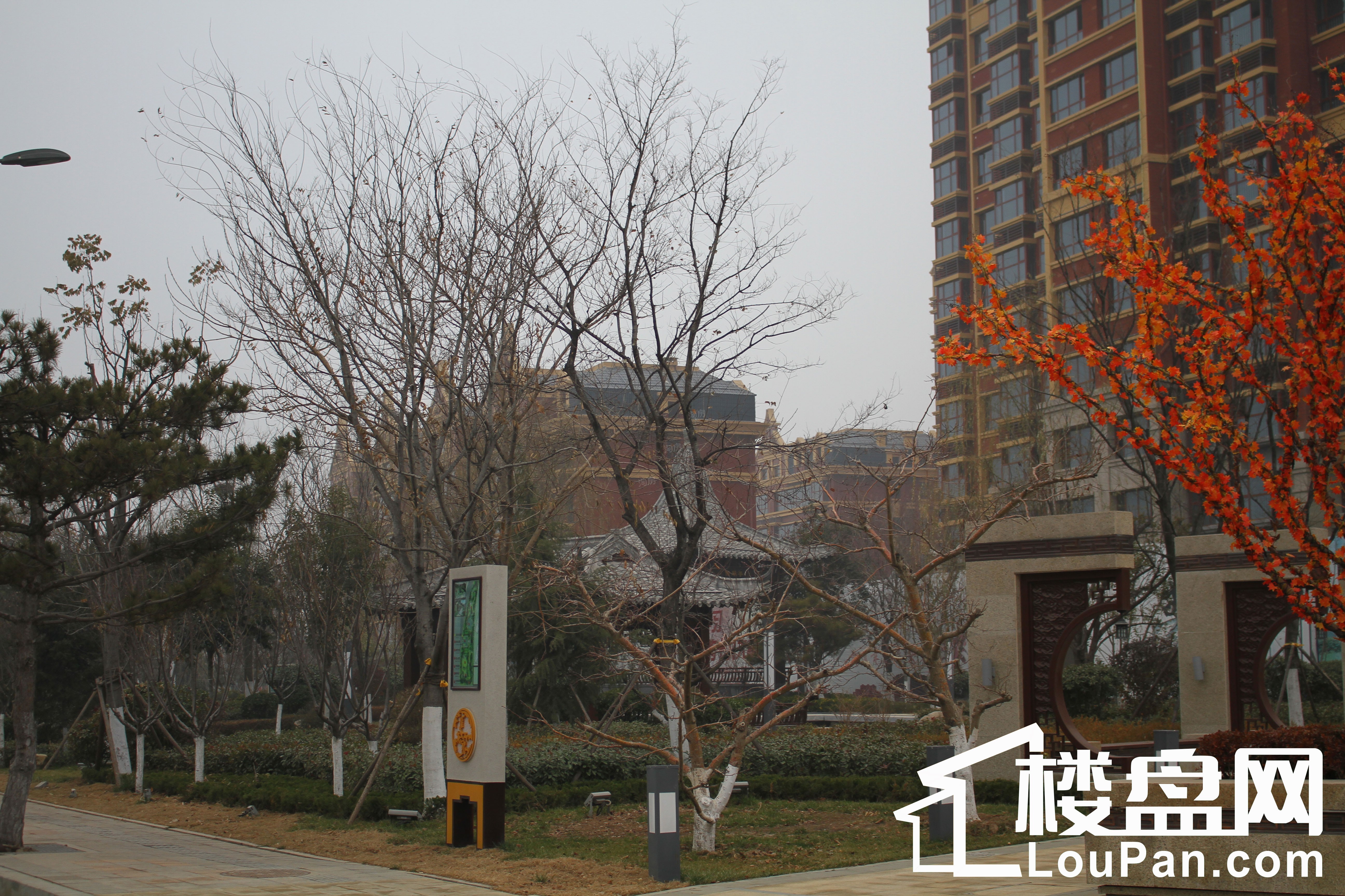 开元盛世硕园实景图