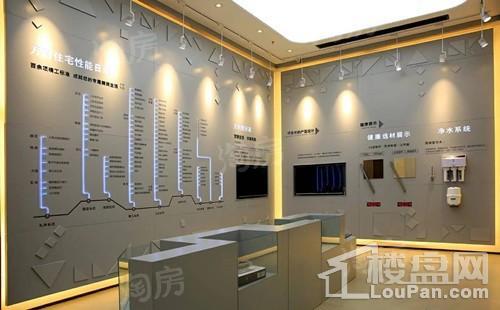 万科·招商城市之光实景图