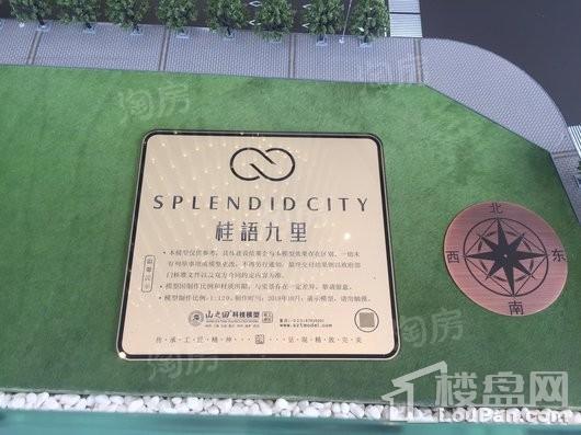 桂语九里实景图
