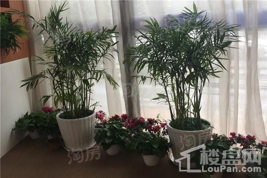 恒大御府实景图