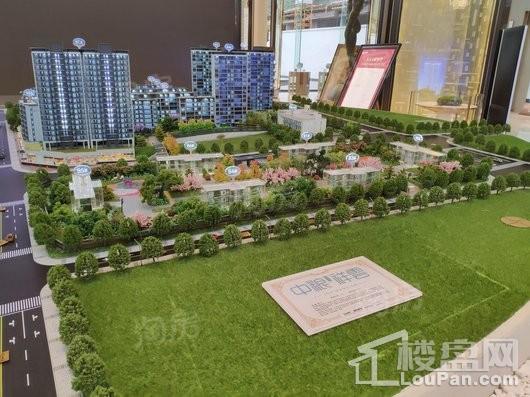中粮·中央公园祥云实景图