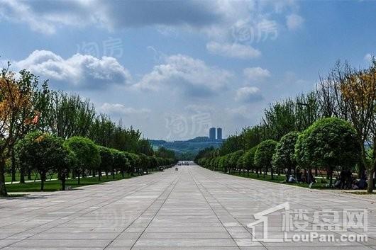 中粮·中央公园祥云配套图