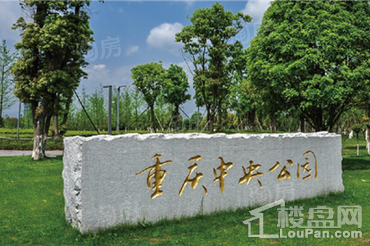 中粮·中央公园祥云配套图