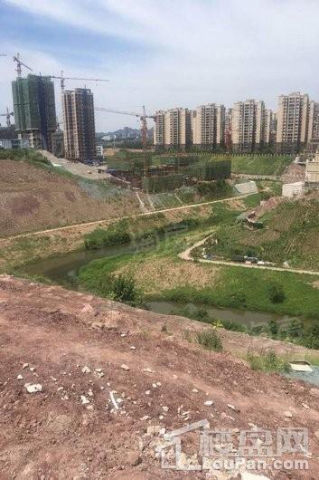 远洋合能枫丹江屿实景图