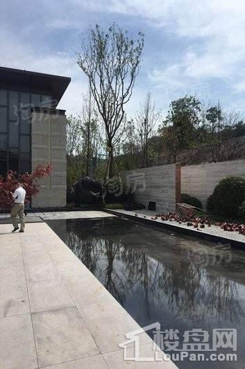 远洋合能枫丹江屿实景图