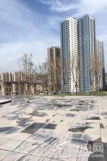 远洋合能枫丹江屿实景图