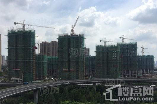 新城牡丹·公园世纪实景图