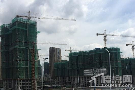 新城牡丹·公园世纪实景图