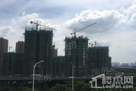 新城牡丹·公园世纪实景图