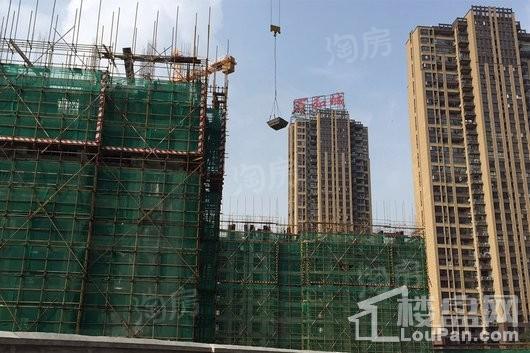 新城牡丹·公园世纪实景图