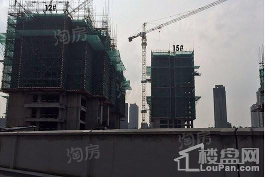 新城牡丹·公园世纪实景图