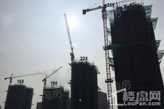 新城牡丹·公园世纪实景图