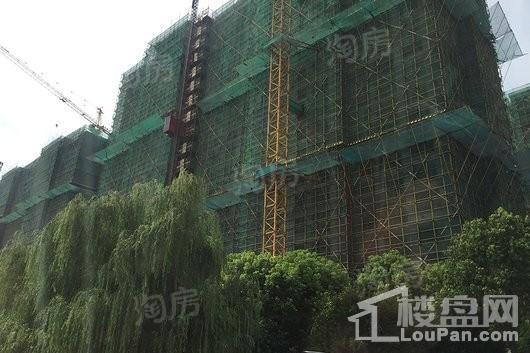 新城牡丹·公园世纪实景图