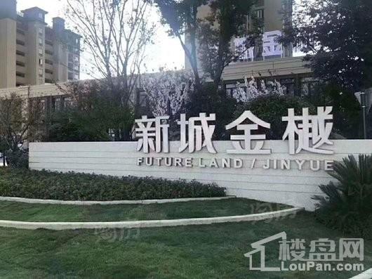 新城金樾实景图