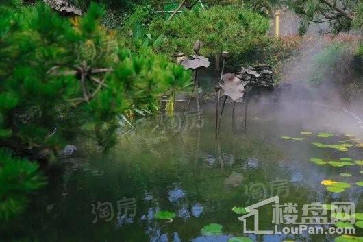 恒大御湖庄园实景图