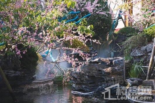 恒大御湖庄园实景图