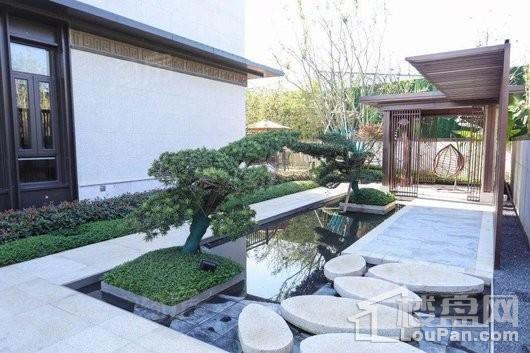 实景图