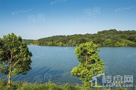 恒大御湖庄园配套图