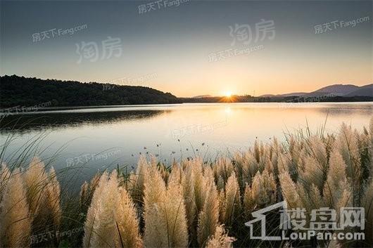 恒大御湖庄园配套图