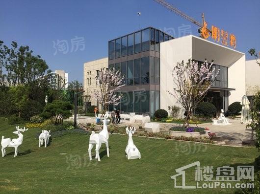 新城碧桂园明昱湾实景图