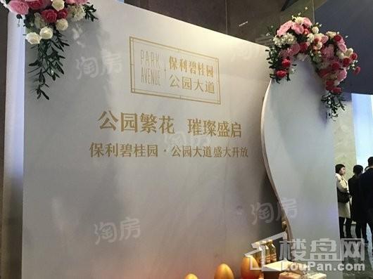 保利碧桂园公园大道实景图