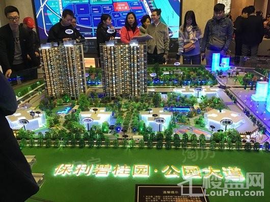 保利碧桂园公园大道实景图