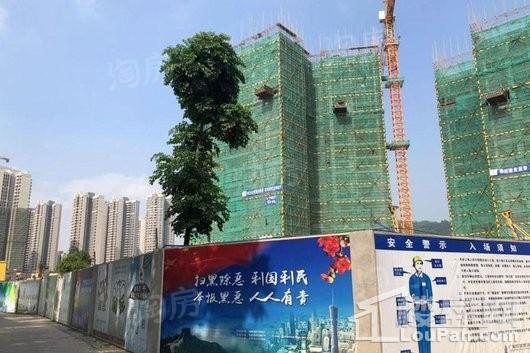香江天赋实景图