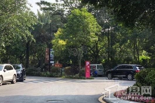 香江天赋实景图
