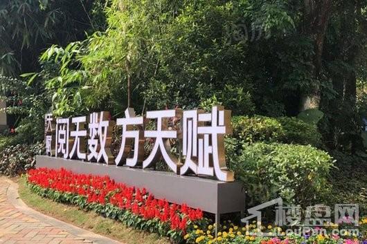 香江天赋实景图