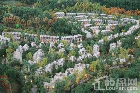 广佛新世界花园洋房实景图