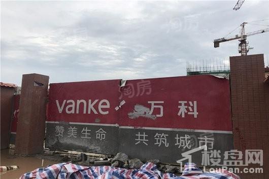 万科未来森林实景图
