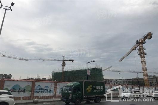 万科未来森林实景图