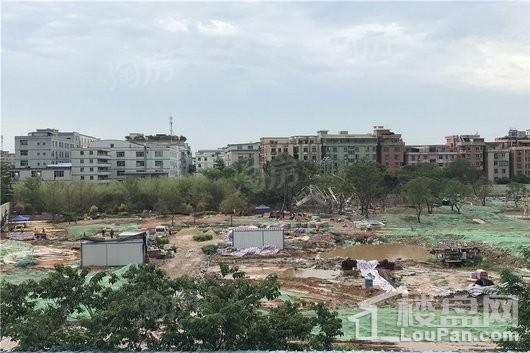 万科未来森林实景图