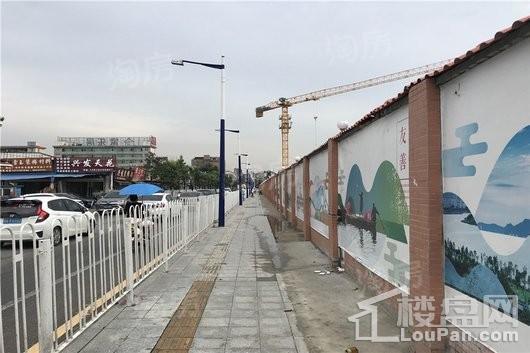 万科未来森林实景图