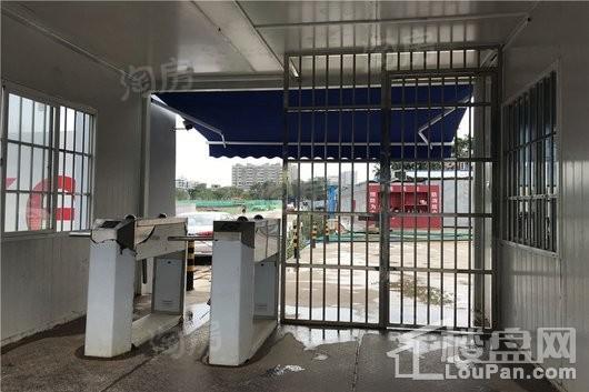 万科未来森林实景图