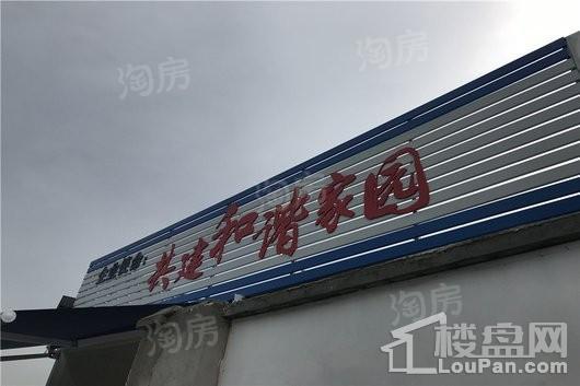 万科未来森林实景图
