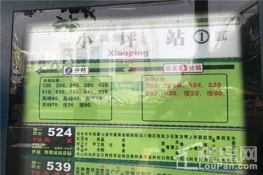 万科未来森林配套图