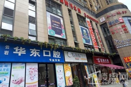 鸿基·君临天下 三期实景图