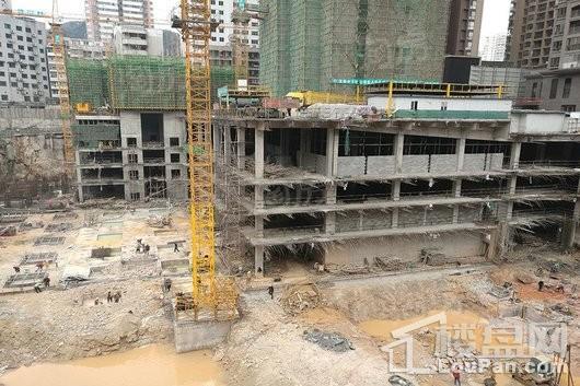 鸿基·君临天下 三期实景图