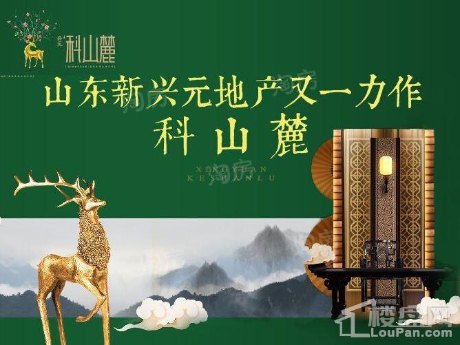 效果图