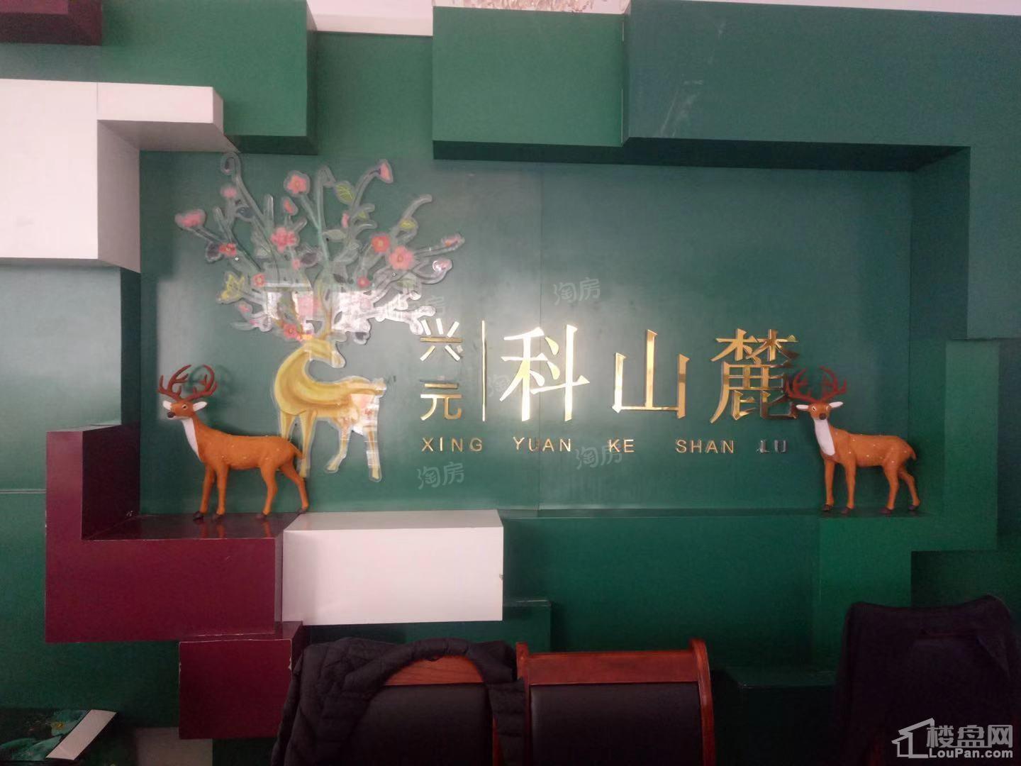 兴元科山麓实景图